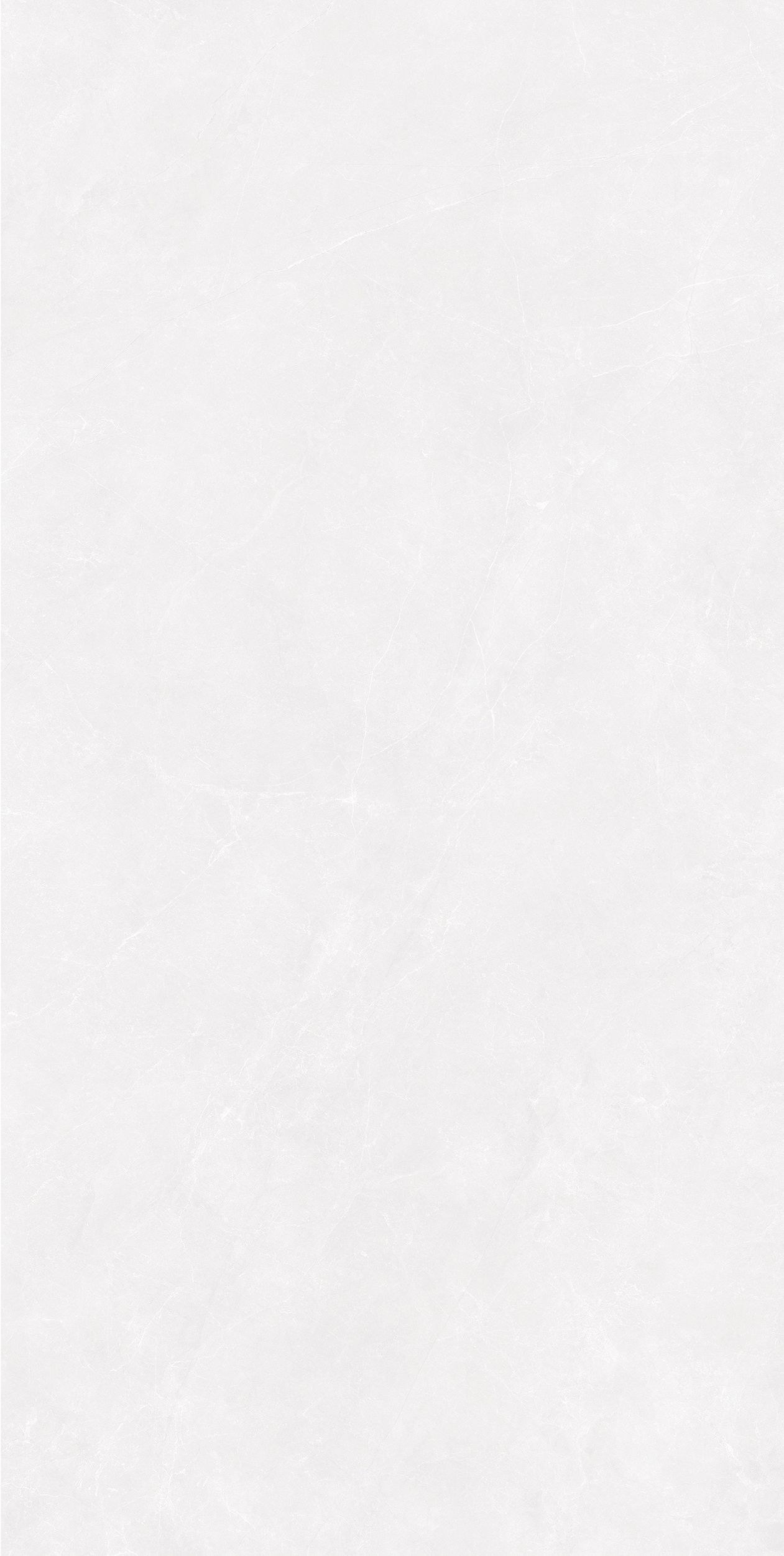 大衛(wèi)白
